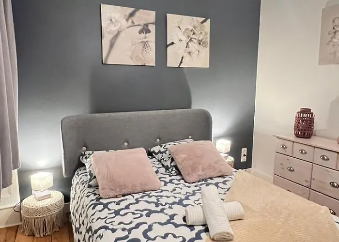 Jaude - Cosy En Centre Apartament