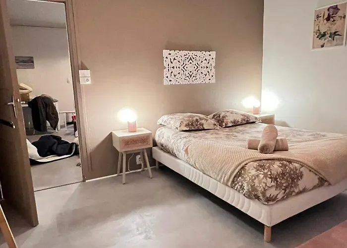 Résidence Jaude - Cosy En Centre Appartement *